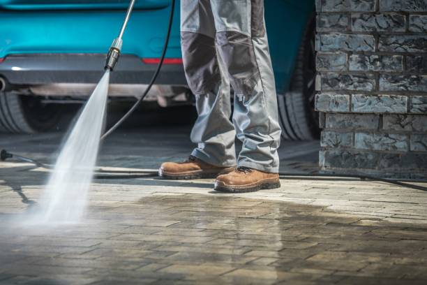Best Rust Removal  in Eunice, NM