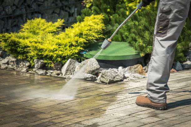 Best Fence Cleaning  in Eunice, NM