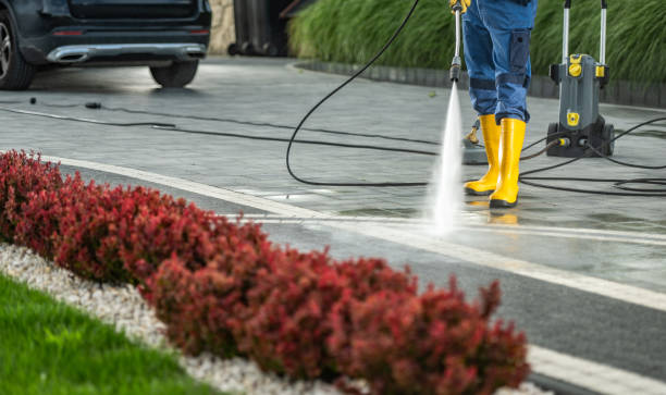 Best Roof Washing  in Eunice, NM